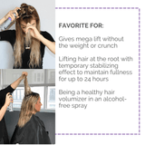 Fave4 Styling Vertical Volume - Root Lifting Spray 113353
